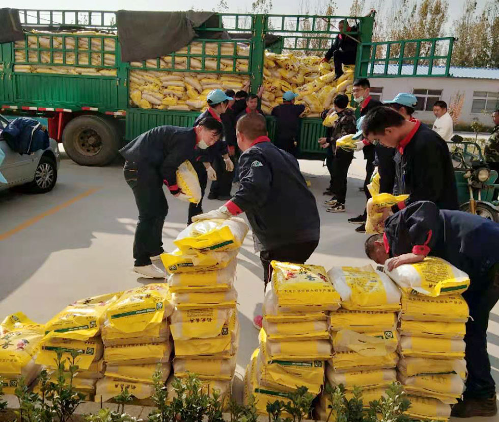 江蘇高速沖床工廠發福利